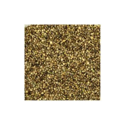 VINCI 800GR CAÑAMON 