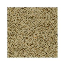 VINCI 3KG PERILLA BLANCA