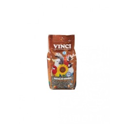 VINCI 2KG PIPAS GIRASOL U S A