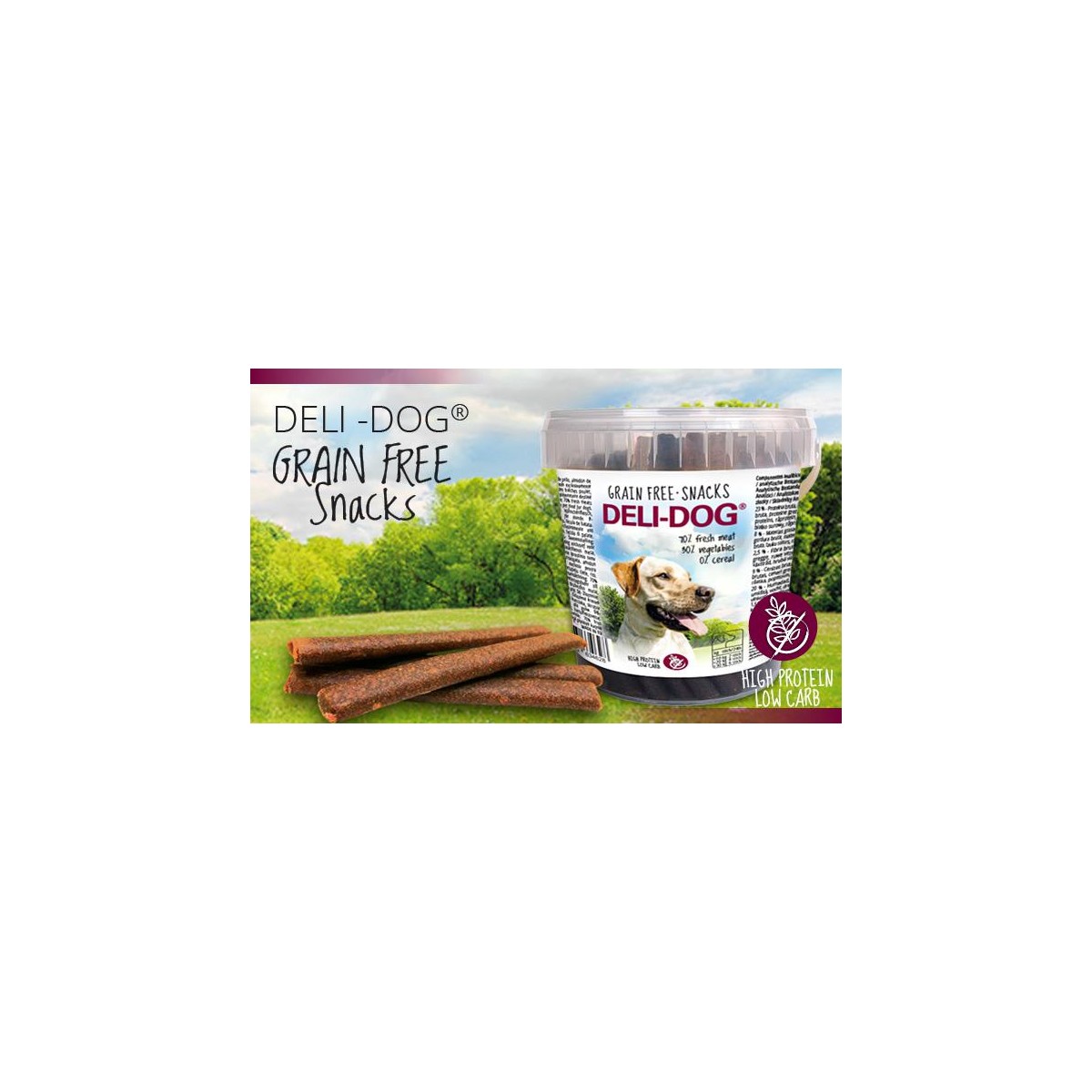 DELIDOG GRAIN FREE 300GR