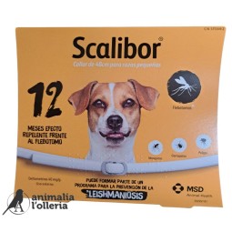SCALIBOR COLLAR 48 CM 