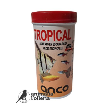 ANCO TROPICAL 20GR