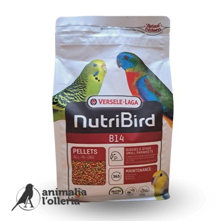 NUTRIBIRD B14 800G PERIQUITO