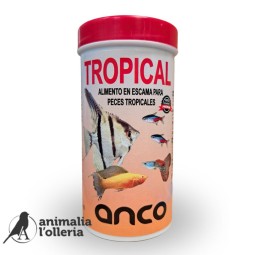 ANCO TROPICAL 50GR
