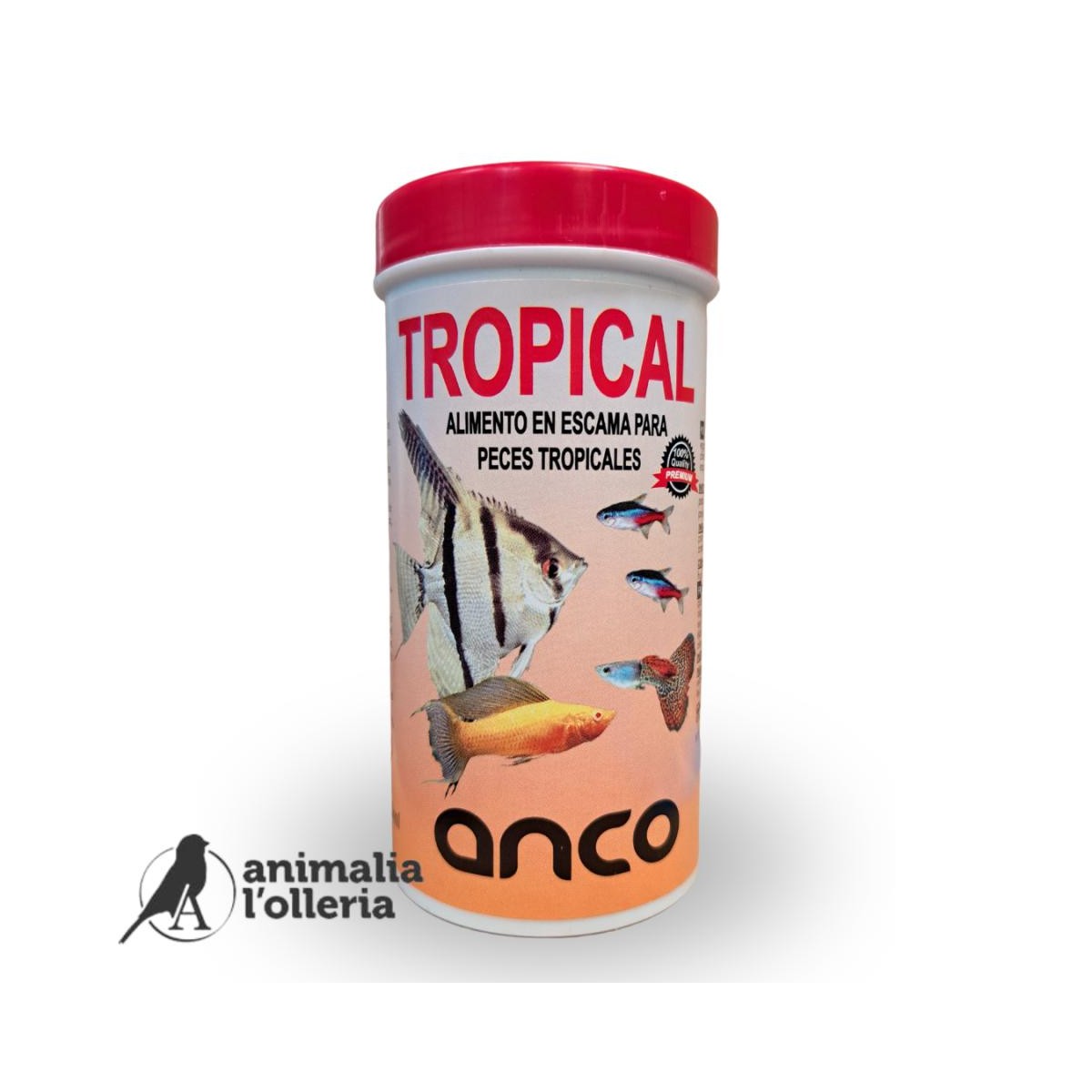 ANCO TROPICAL 50GR