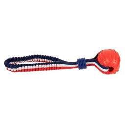 LANZADOR ELASTICO ROJO 6 5X24CM