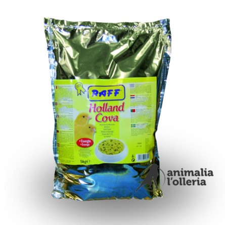 HOLLAND COVA 4KG