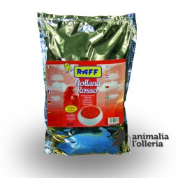HOLLAND ROSSO 4KG
