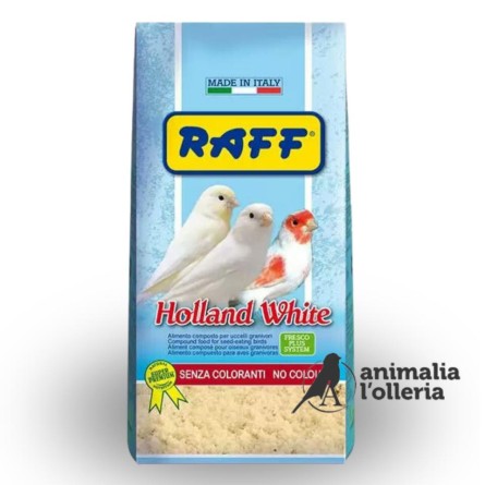 HOLLAND WHITE 1KG