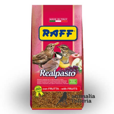 REALPASTO 4KG