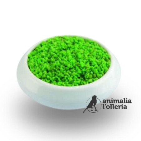 GREEN PATEE 20KG