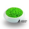 GREEN PATTE 1kg     