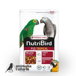 NUTRIBIRD P15 TROPICAL 1KG LORO