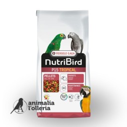 NUTRIBIRD P15 TROPICAL 10KG LORO