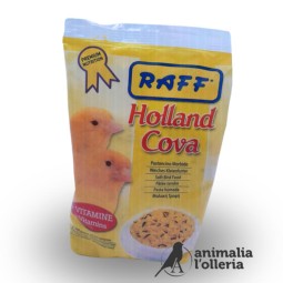 HOLLAND COVA 300gr