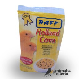 HOLLAND COVA 300gr