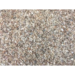 CASCARAS DE OSTRAS   1 5kg    Beyers