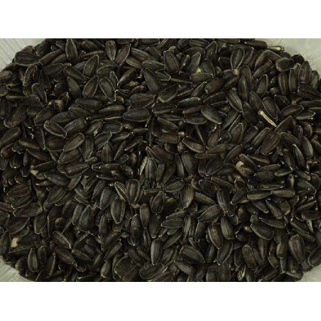 PIPA GIRASOL NACIONAL NEGRA 15KG