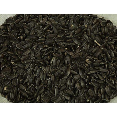 PIPA GIRASOL NACIONAL NEGRA 1KG