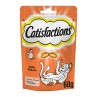 CATISFACTIONS GATO 60GR 