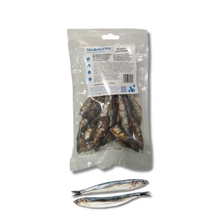 BOQUERON 70GR