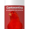 CANTAXANTINA ANTIGUA FORMULA  1GR