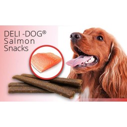 DELIDOG SALMON 800GR