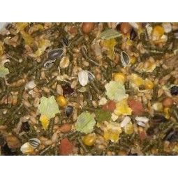 LAPICOM CONEJO ENANO   1KG   Beyers