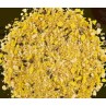 CEDE PERIQUITO 5KG