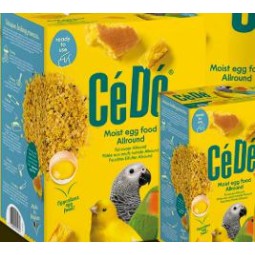 CEDE MORBIDO 5KG