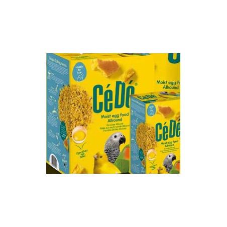 CEDE MORBIDO 5KG