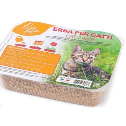 HIERBA PARA GATOS 100GR