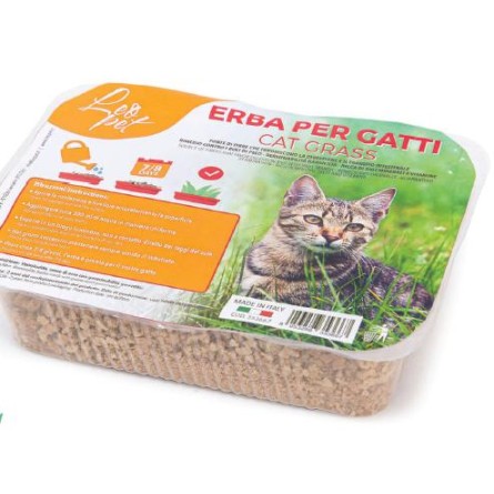 HIERBA PARA GATOS 100GR