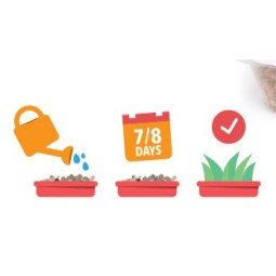 HIERBA PARA GATOS 100GR