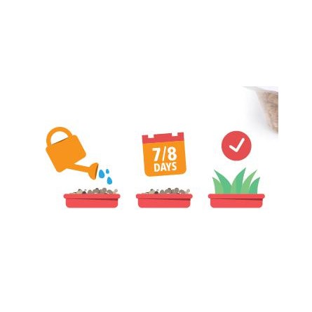 HIERBA PARA GATOS 100GR