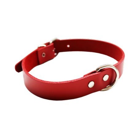 COLLAR CUERO AMAZONE