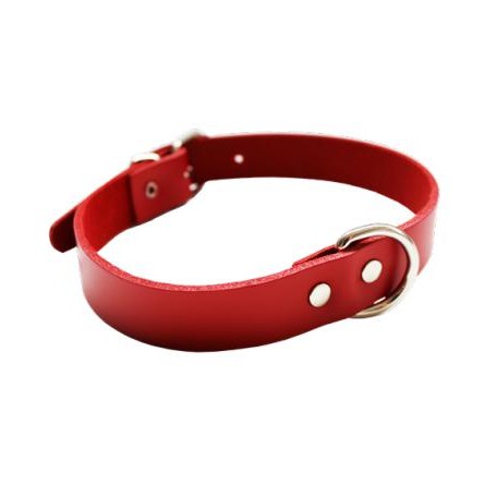 COLLAR CUERO AMAZONE