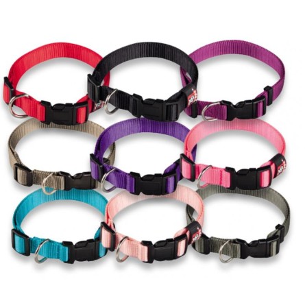 COLLAR NYLON REG  BASIC