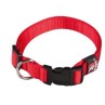 COLLAR NYLON REG BASIC