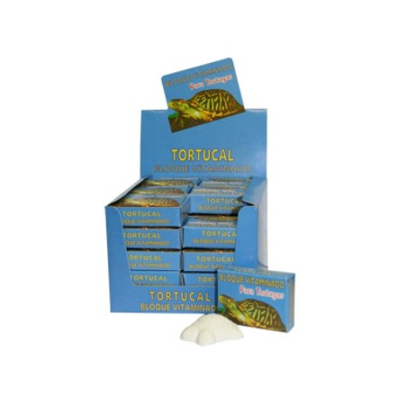 CALCIO TORTUGUITA 1 unidad