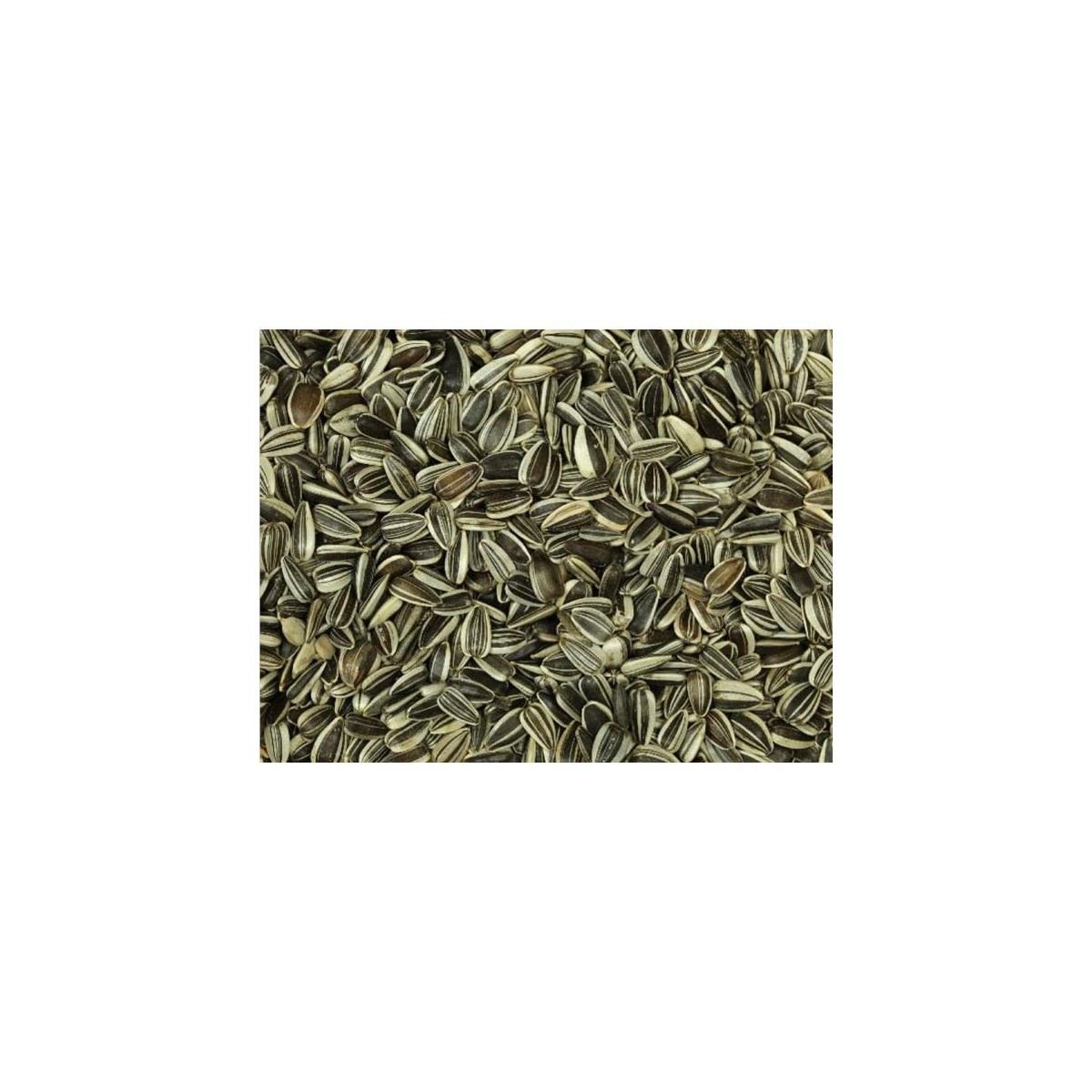 PIPAS GIRASOL PEQUEÑAS 1KG                   