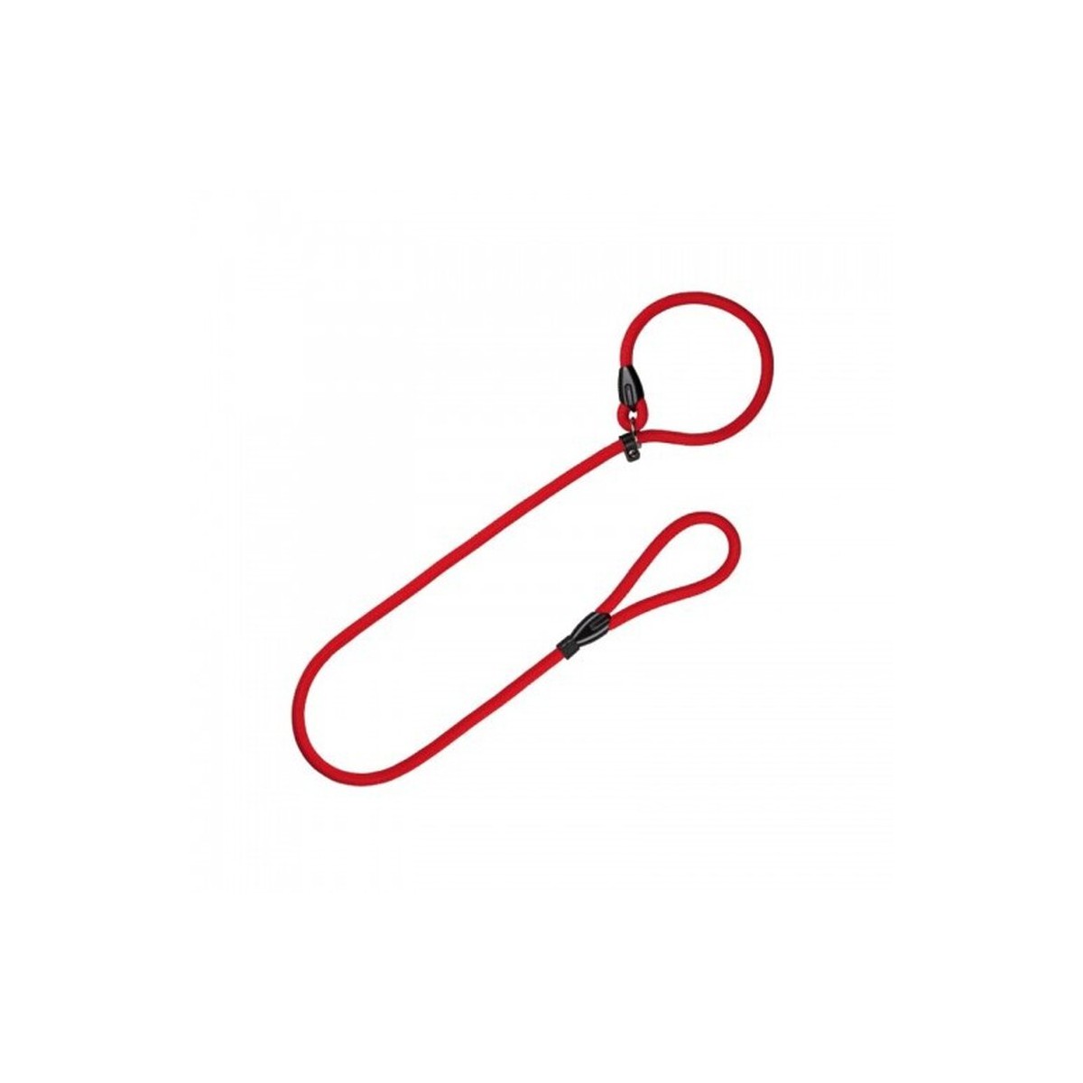 CORREA COLLAR EDU  NYLON RED