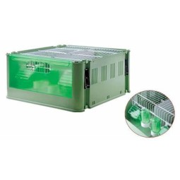 TRANSPORTIN TINO ECONOMY   ART235