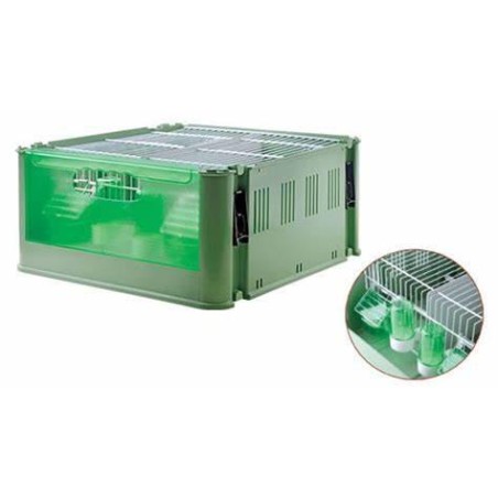 TRANSPORTIN TINO ECONOMY   ART235