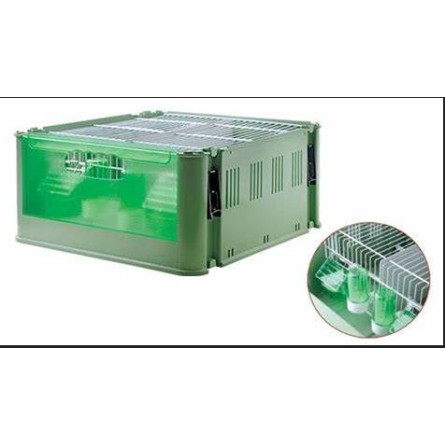 TRANSPORTIN TINO ECONOMY   ART235