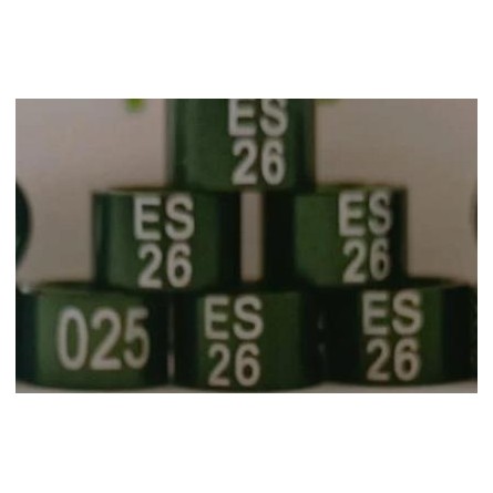 ANILLA GOULD DEL AÑO 02 70  COLOR               