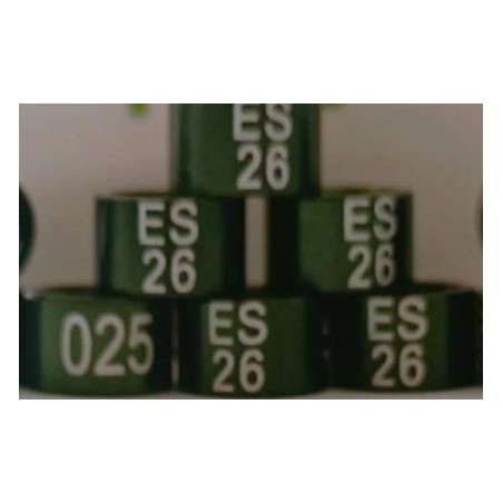 ANILLA GOULD DEL AÑO 02 70  COLOR               