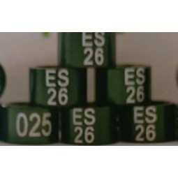 ANILLA GOULD DEL AÑO 02 70  COLOR               