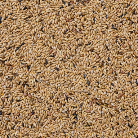 65- CANARIOS LIGHT 20KG Beyers