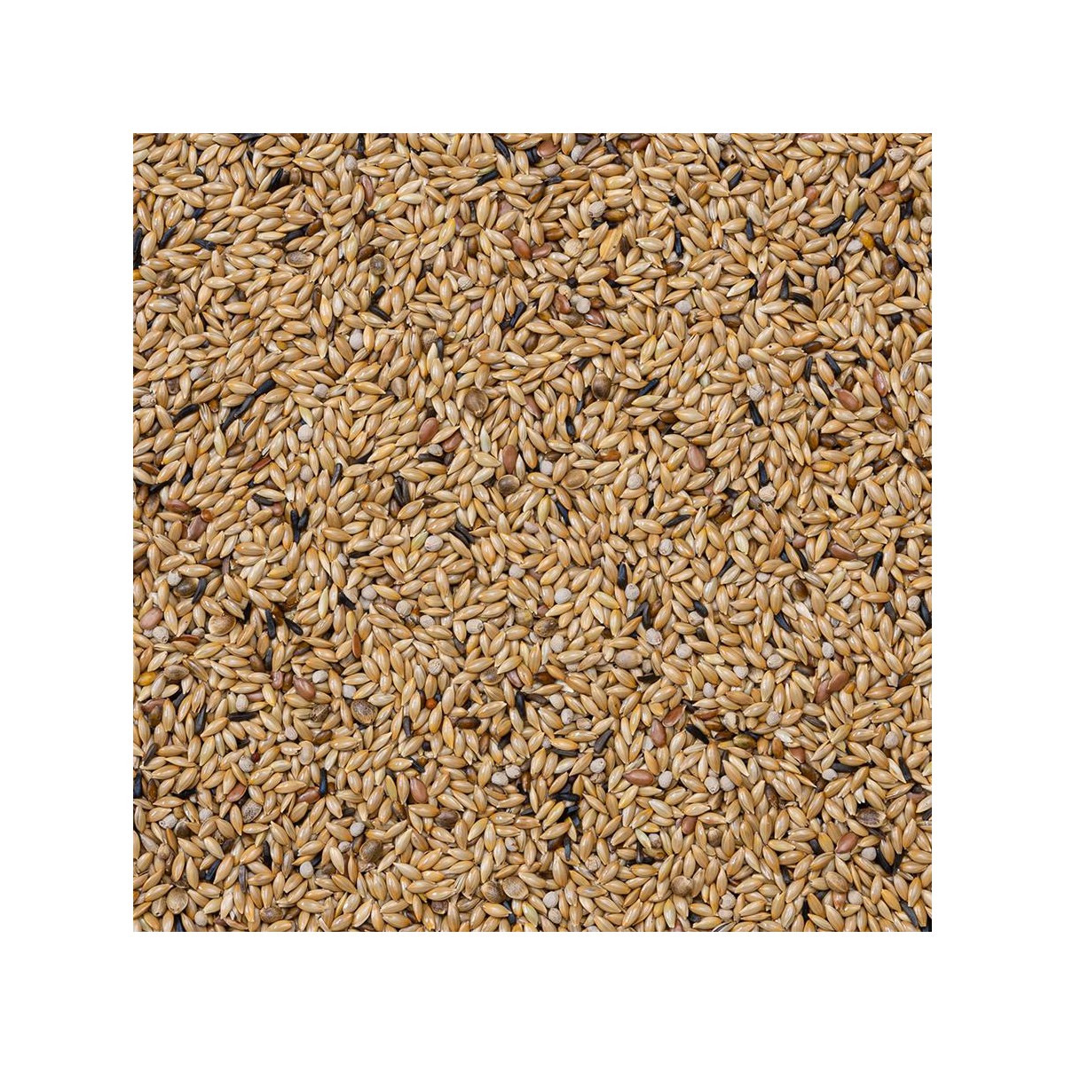 65- CANARIOS LIGHT 20KG Beyers